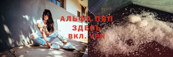 ГАЛЛЮЦИНОГЕННЫЕ ГРИБЫ Белокуриха