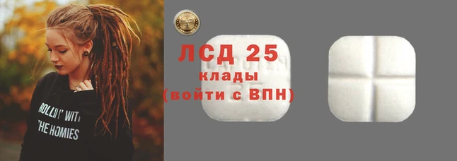 spice Беломорск