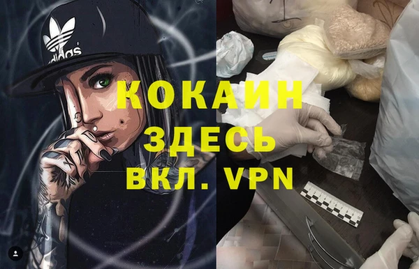 ГАЛЛЮЦИНОГЕННЫЕ ГРИБЫ Белокуриха