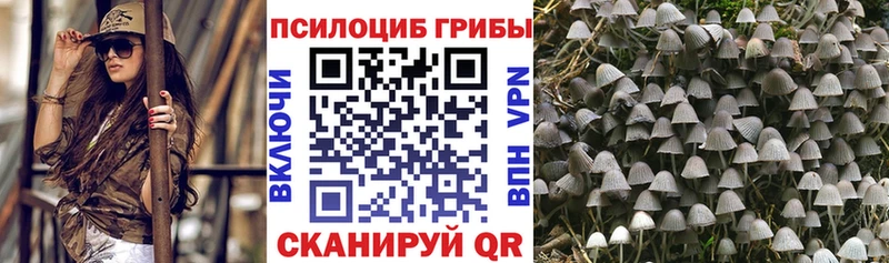 Галлюциногенные грибы Magic Shrooms  Луховицы 